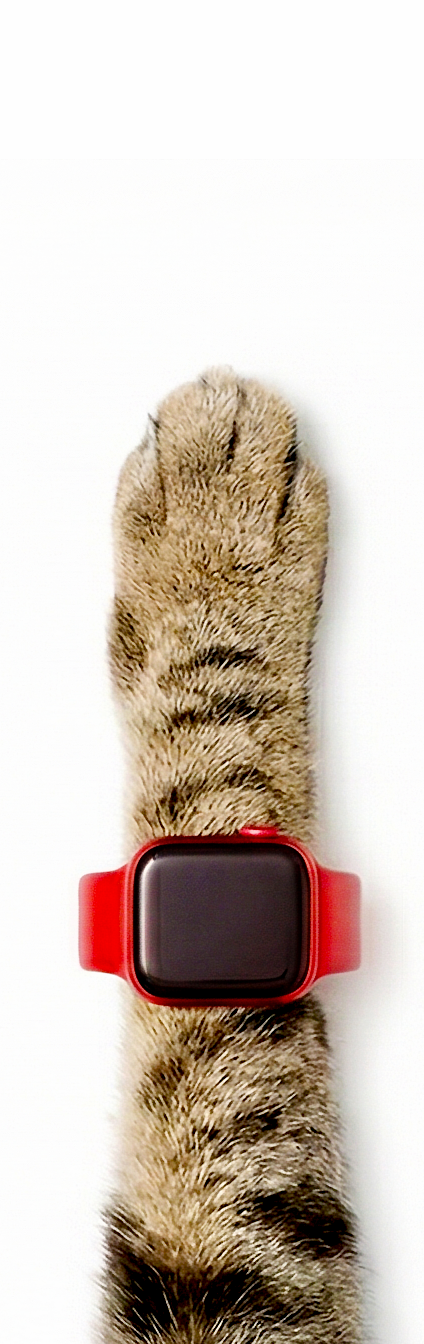 Gummy watch 2