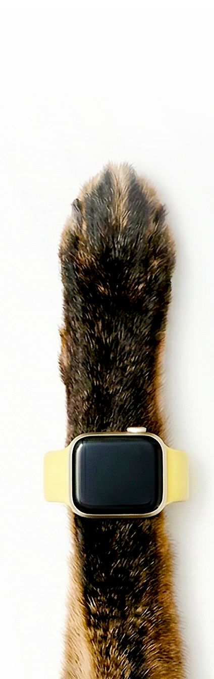 Gummy watch 4